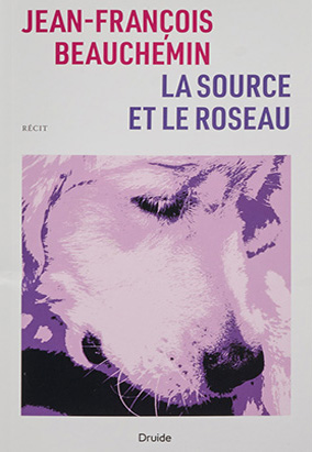 Couverture du livre La source et le roseau, de Jean-François Beauchemin